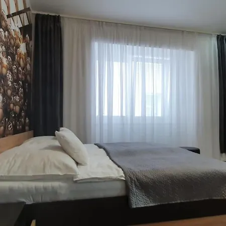 New2 Ołomuniec